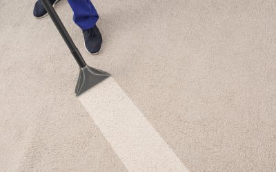 Starting the New Year with a Fresh Home: Carpet Cleaning Tips by Bounce Back Carpets Ltd