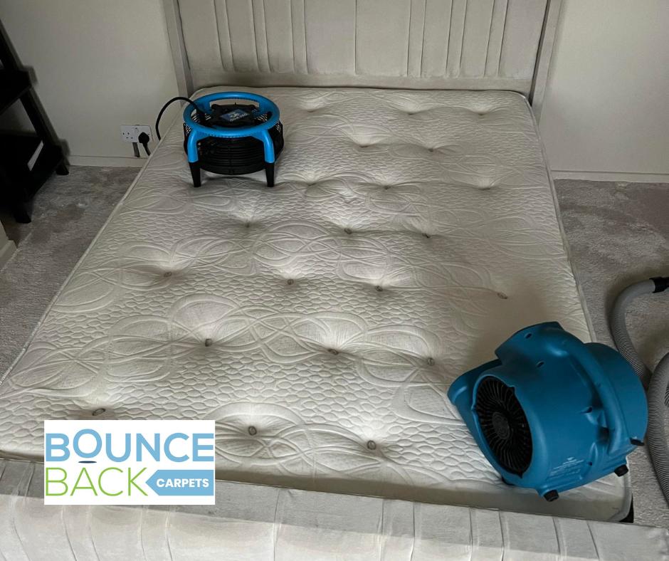Mattresses Cleaning