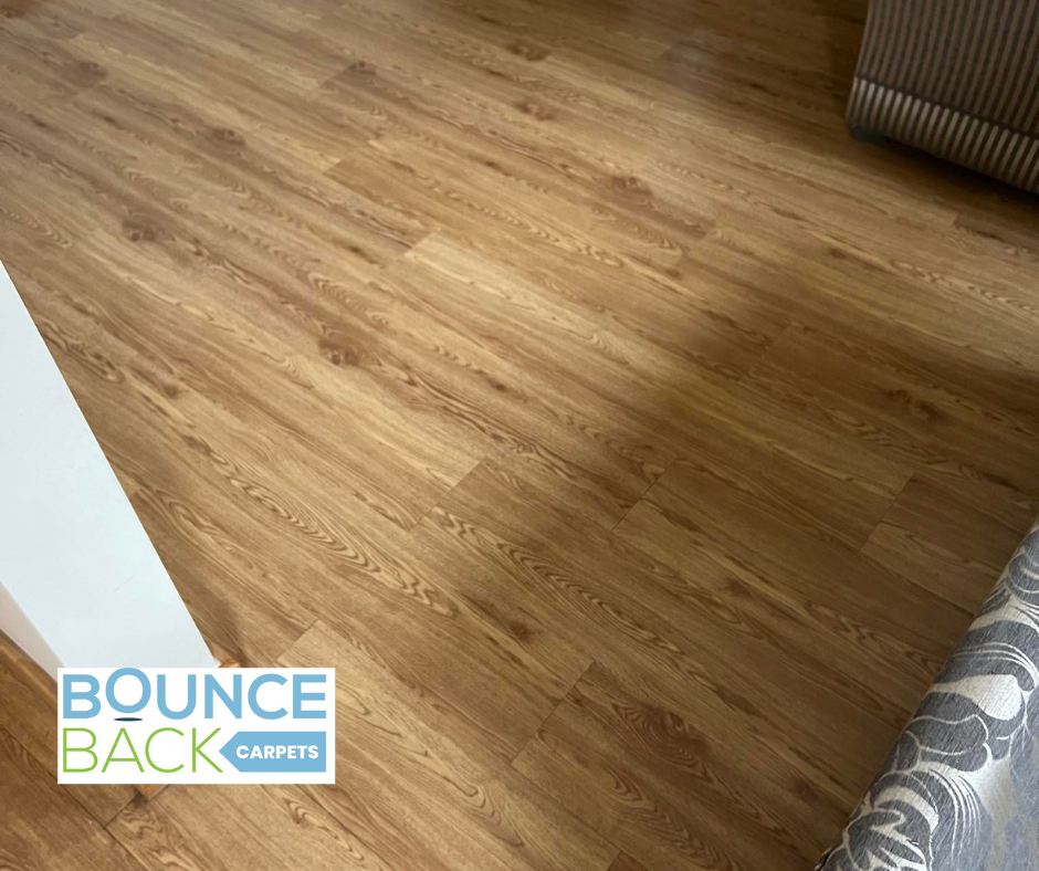 Wood Floors Cleaning