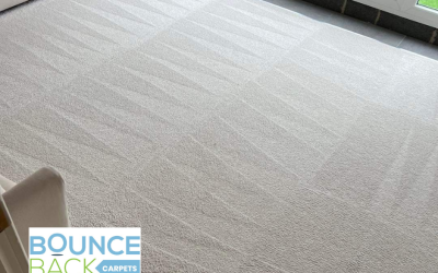 Back to Freshness: Top Carpet Cleaning Tips for Bradford Residents