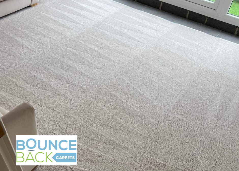 Back to Freshness: Top Carpet Cleaning Tips for Bradford Residents